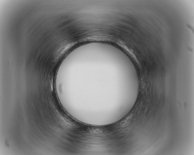 X0000091590062200708201001