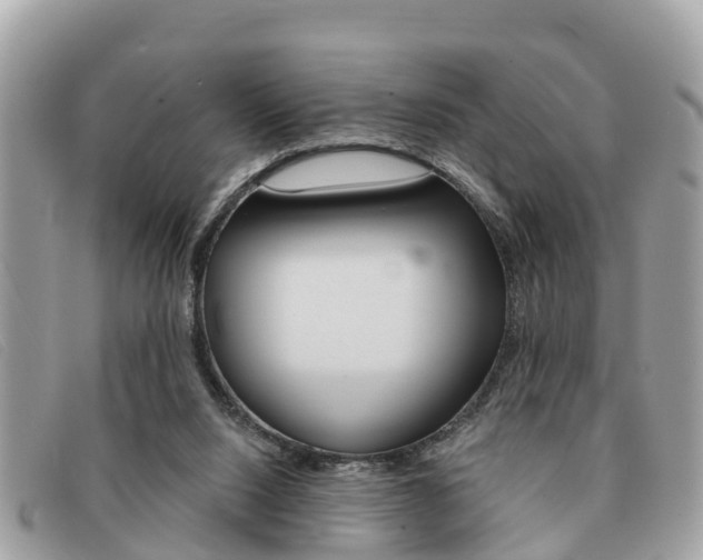 X0000091590064200708201001