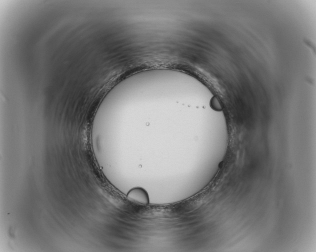X0000091590065200708201001
