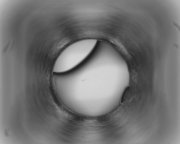 X0000091590066200708201001