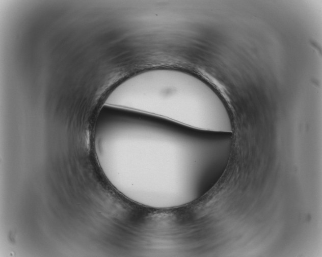 X0000091590067200708201001