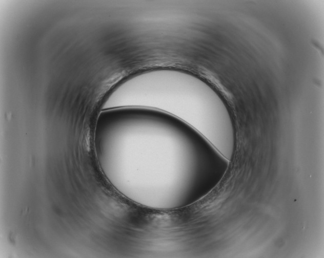 X0000091590068200708201001