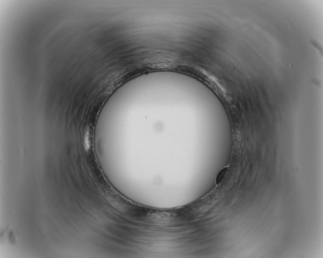X0000091590069200708201001