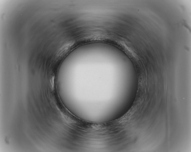 X0000091590070200708201001