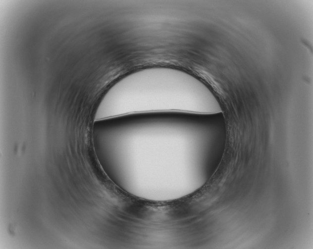 X0000091590071200708201001