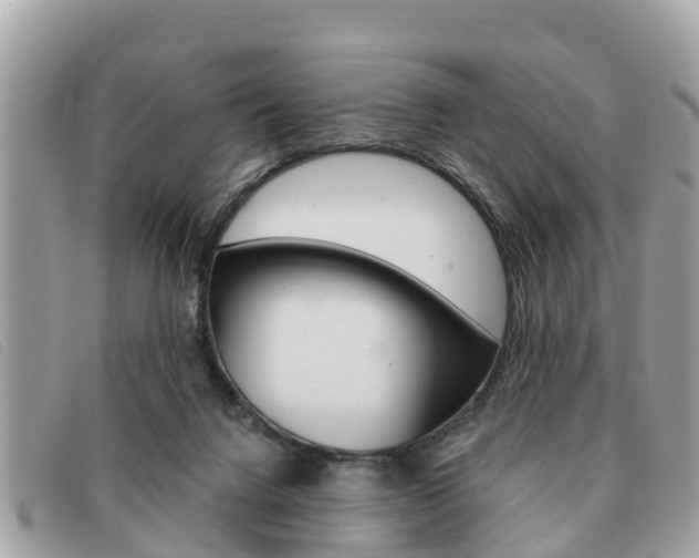 X0000091590072200708201001