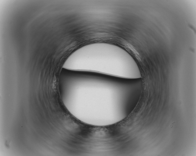 X0000091590073200708201001