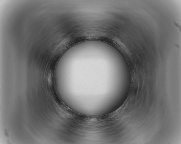 X0000091590074200708201001
