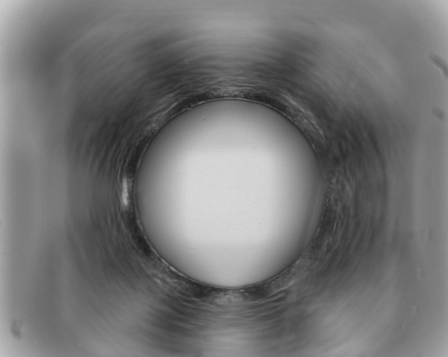 X0000091590075200708201001