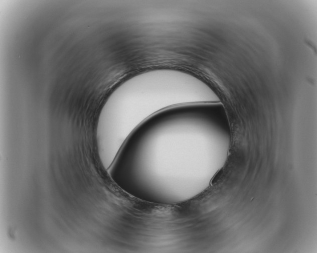 X0000091590076200708201001