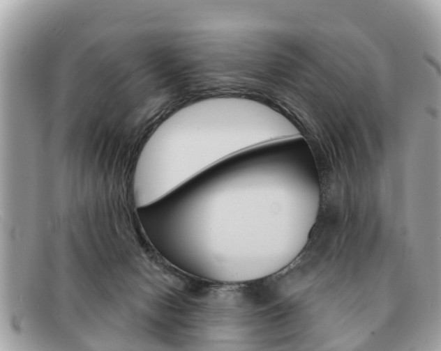 X0000091590078200708201001