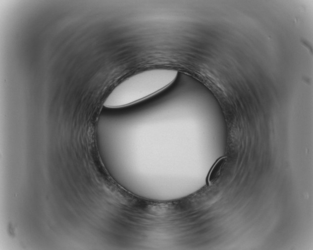 X0000091590079200708201001