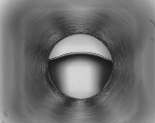 X0000091590080200708201001