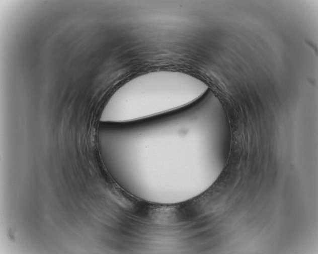 X0000091590081200708201002