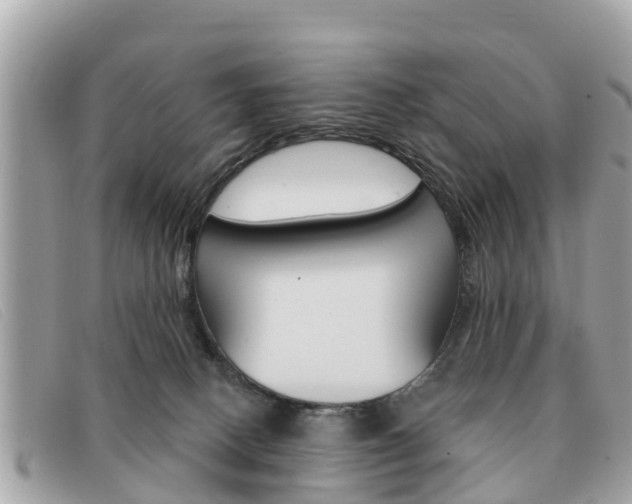 X0000091590082200708201002