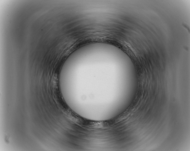 X0000091590083200708201002