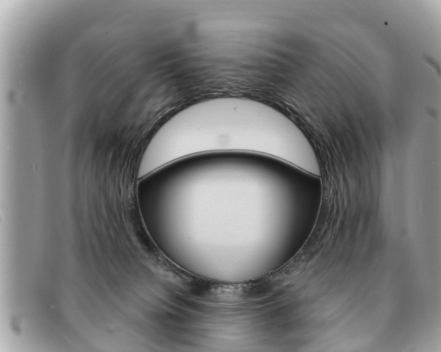 X0000091590084200708201002