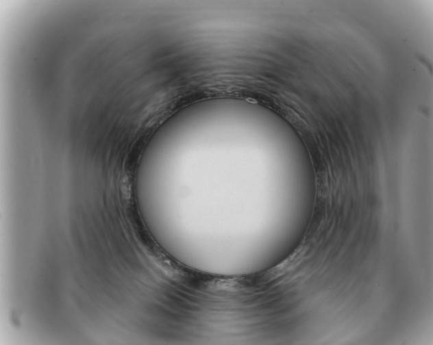 X0000091590086200708201002