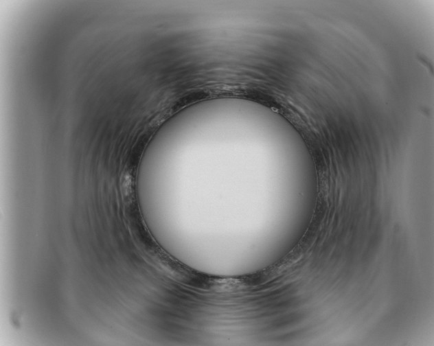 X0000091590087200708201002