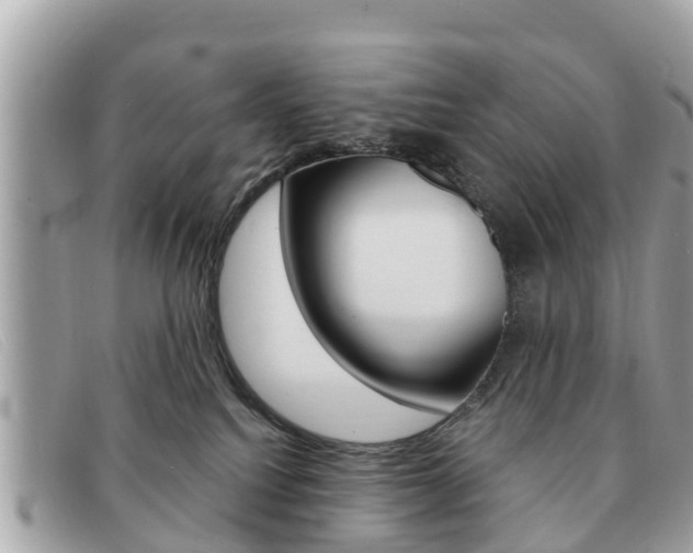 X0000091590088200708201002