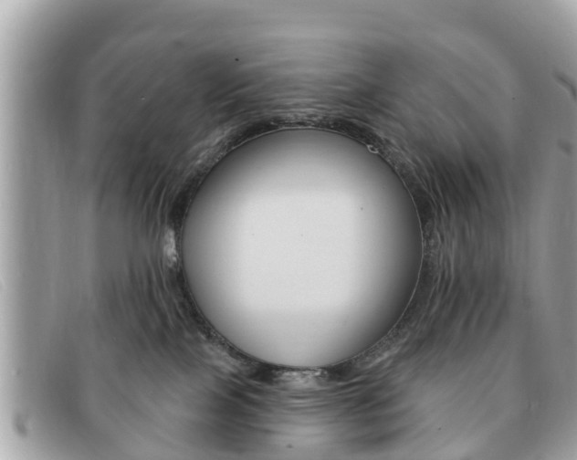 X0000091590089200708201002