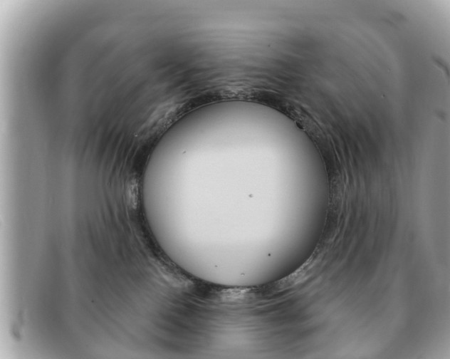 X0000091590090200708201002