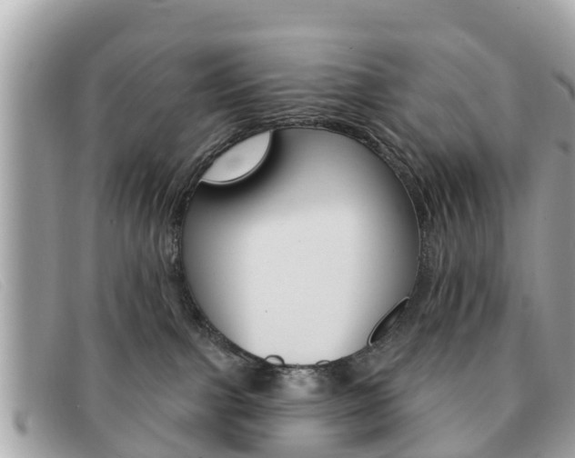 X0000091590091200708201002