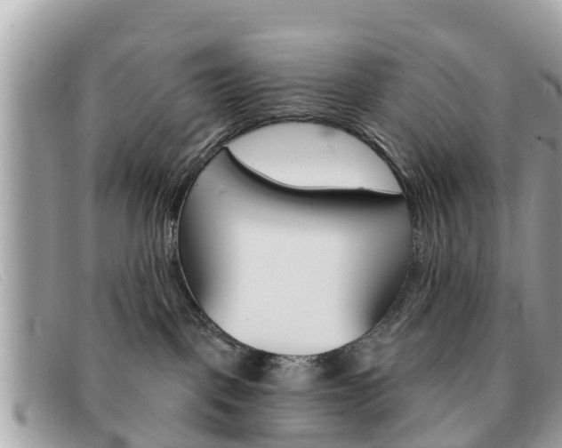 X0000091590093200708201002