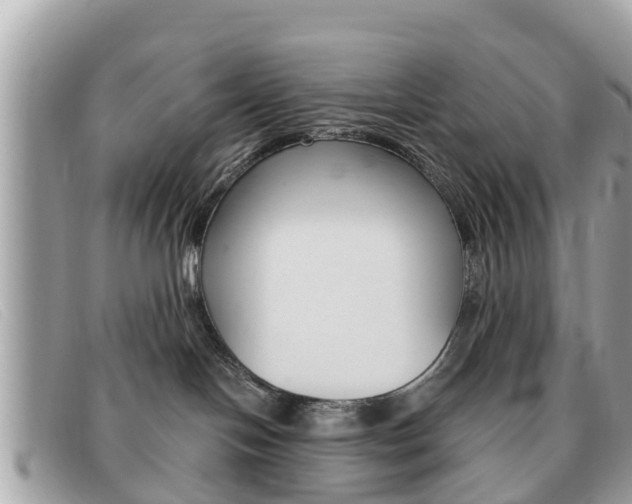 X0000091590094200708201002
