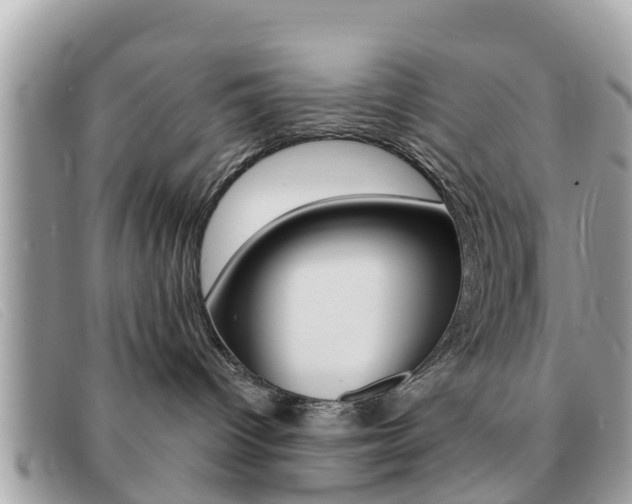 X0000091590096200708201002