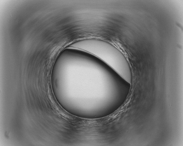 X0000091590097200708201001