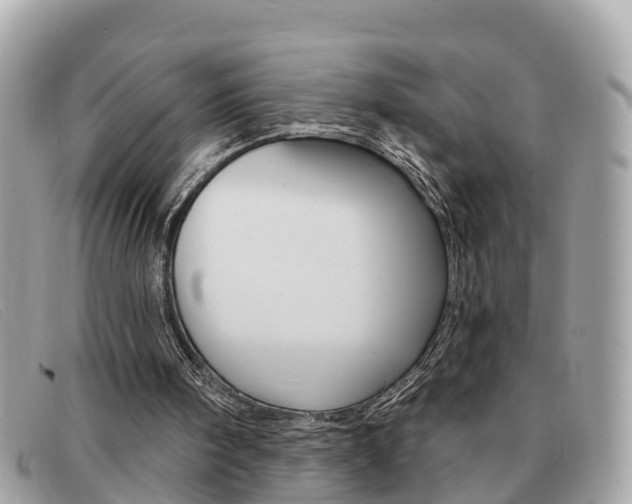 X0000091590098200708201001