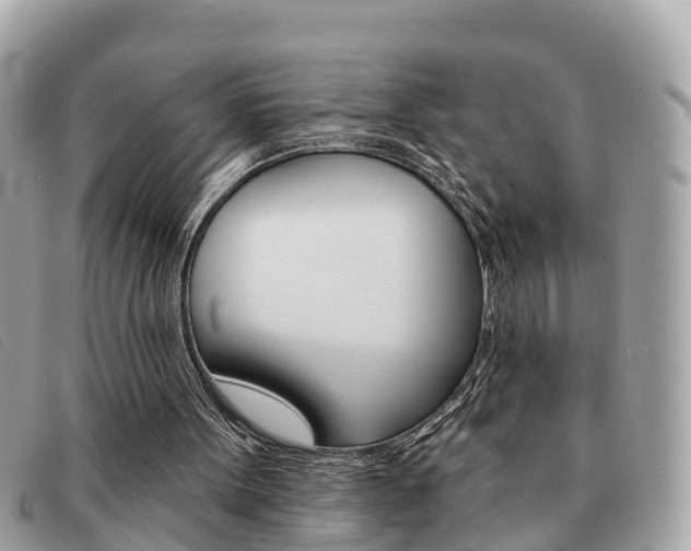 X0000091590099200708201001