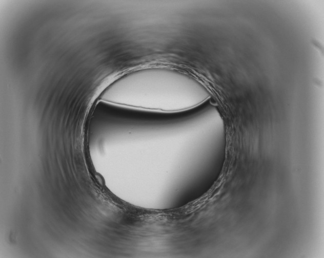 X0000091590100200708201001