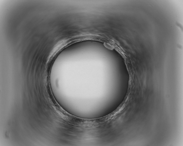 X0000091590101200708201001