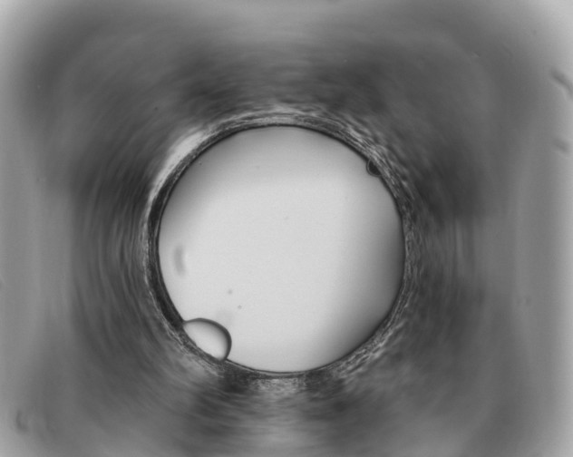 X0000091590102200708201001
