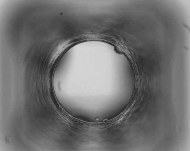 X0000091590103200708201001