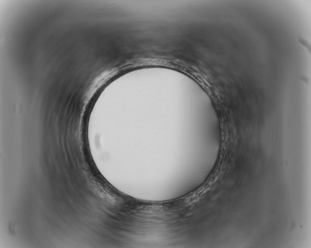X0000091590104200708201001