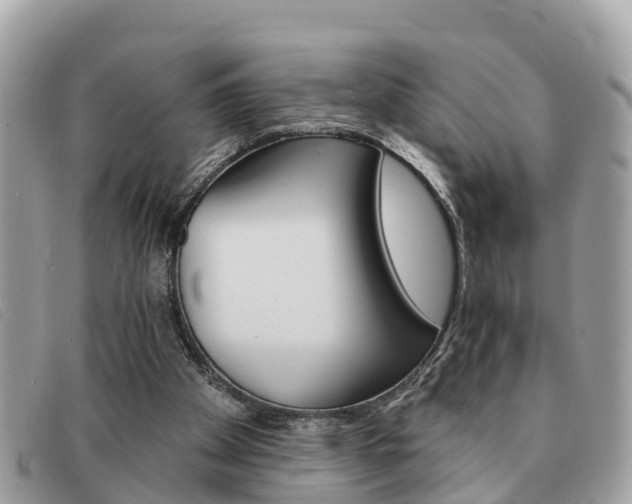 X0000091590105200708201001