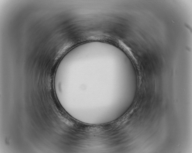 X0000091590106200708201001