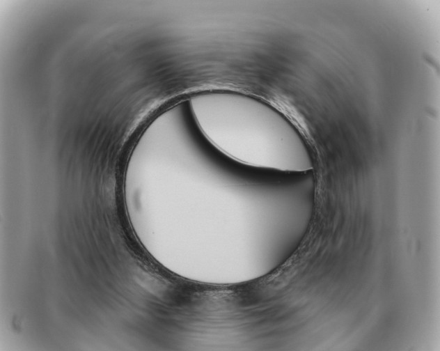 X0000091590108200708201001