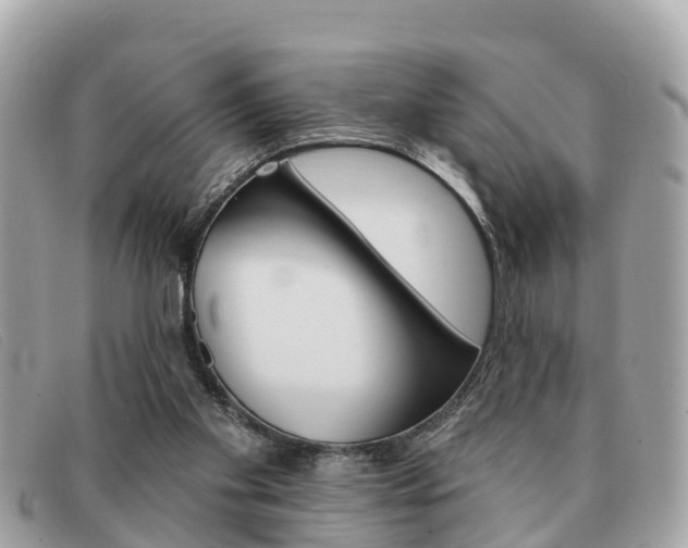 X0000091590109200708201001