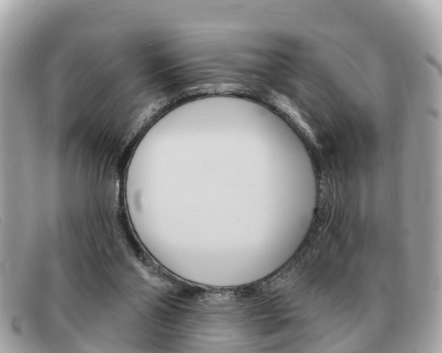 X0000091590110200708201001