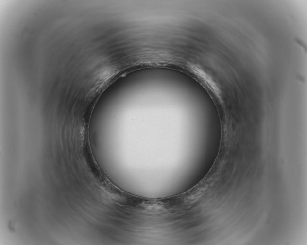 X0000091590113200708201001