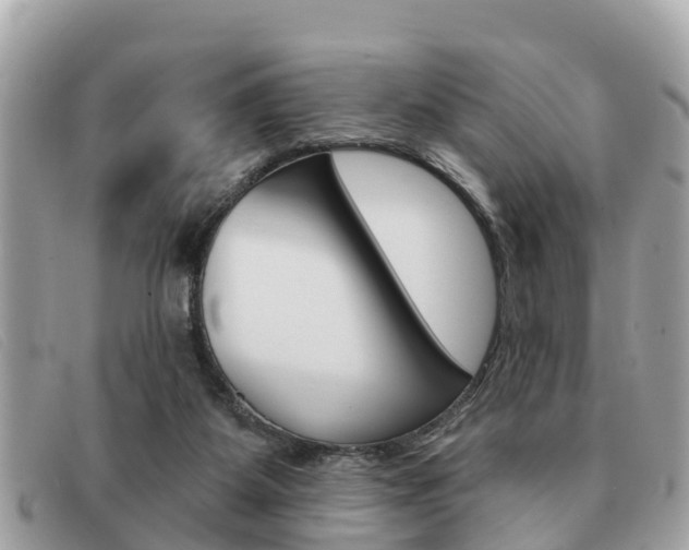 X0000091590115200708201001