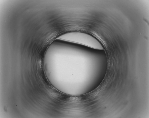 X0000091590117200708201001