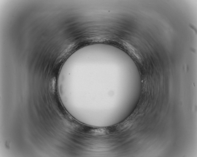 X0000091590118200708201001