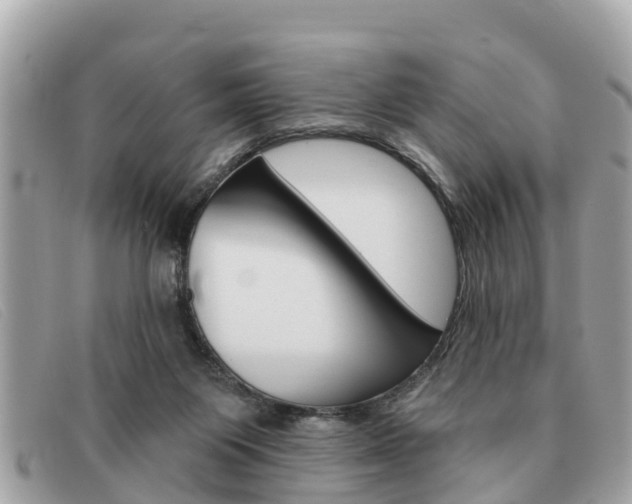 X0000091590119200708201001