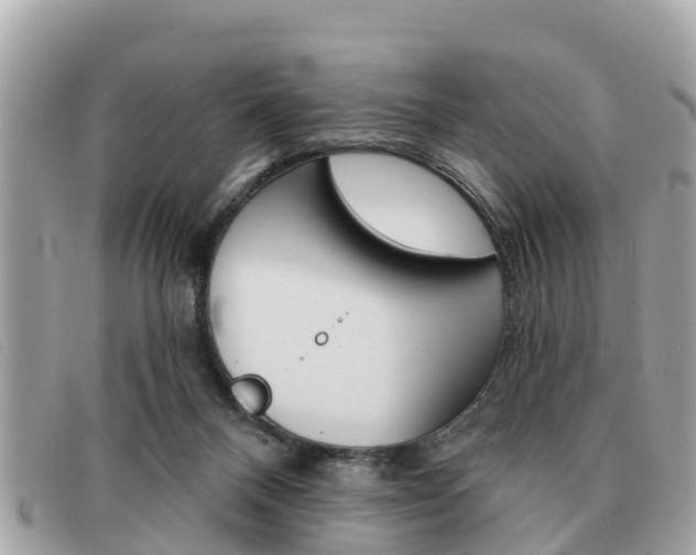 X0000091590120200708201001