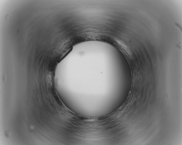 X0000091590121200708201001
